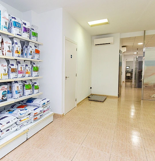 interior de veterinaria 