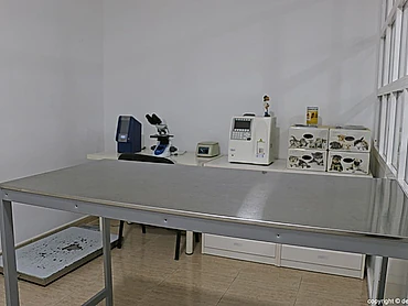 Sala Clínica Veterinària Dénia