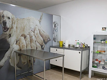 sala veterinaria